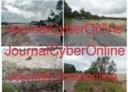 Humas PT Timah Tak Gubris Konfirmasi Soal Tambang Rusak Fasilitas Umum di Koba ‎