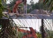 Resmi atau Sekadar Formalitas? Tambang Yang Diduga Milik Amuk Dengan Bermodal Excavator di Deniang Tuai Sorotan Soal K3, UMP, dan BBM