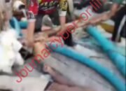 Ponton Rajuk di Laut Sampur Berubah Jadi Lokasi Maut, Pekerja Tambang Timah Tewas Seketika ‎